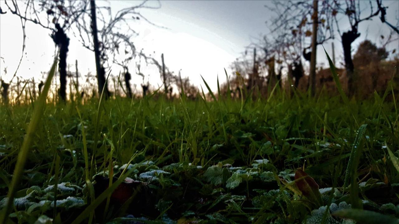 La Guarda